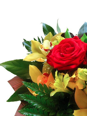 E voščilnice za dan žena